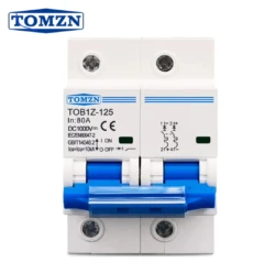 Tomzn 2P DC MCB Circuit Breaker for Battery Protection (125A/100A)