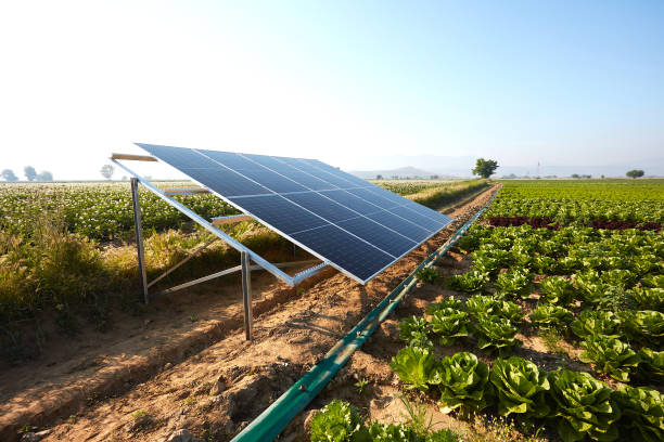 Agriculture solar solution